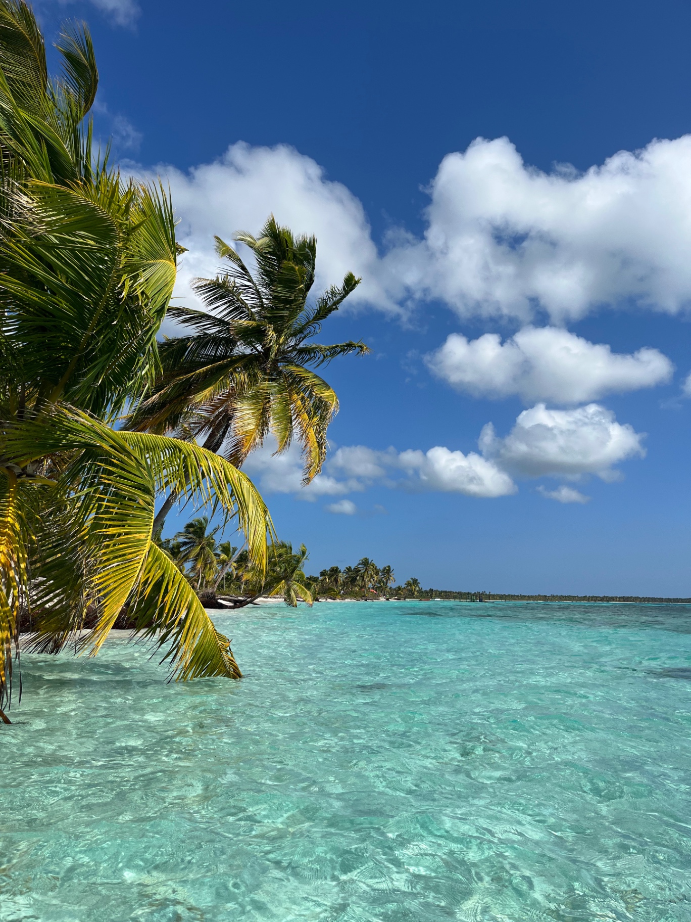 Saona Island